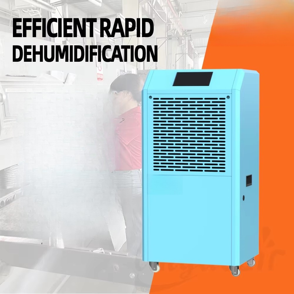 Best Professional Dehumidifier - Best Tools For Workshop 评论和价格
