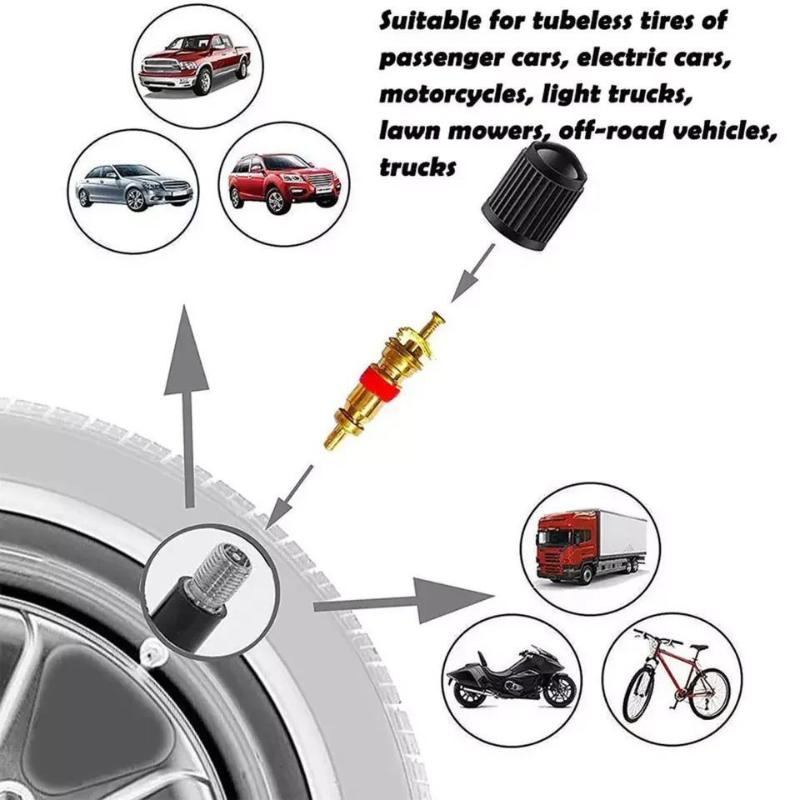 33Pcs Car Bicycle Tire Valve S - Car Workshop Tools Kit 评论和价格